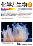 Vol.62 No.10